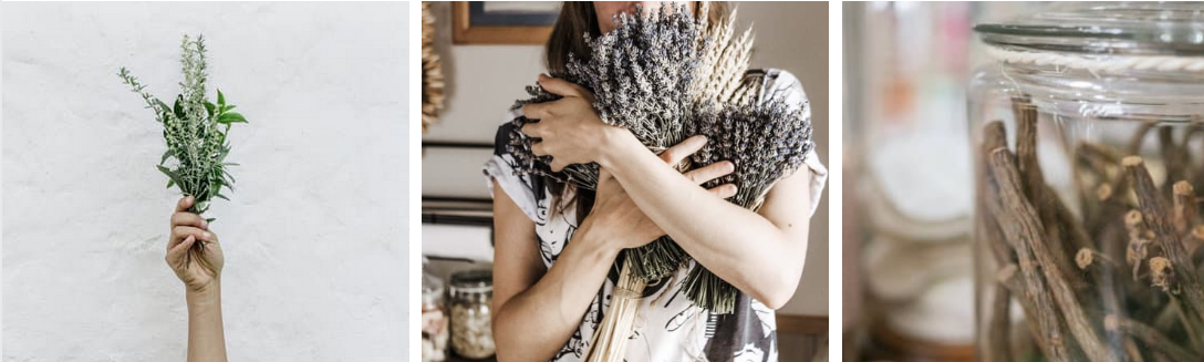 Does Herbal Medicine Work?